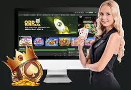 Giao diện chơi Bingo vui nhộn trên fun79 cho điện thoại và PC